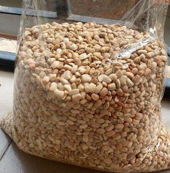 Oloyin (Honey) Beans Grade 1- Hand Picked & Ready To Cook. No Weevil Or Stone