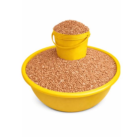 Drum Olootu Beans –  Hand Picked & Ready to Cook