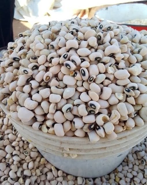 Postasco Beans – Clean & Ready to Cook