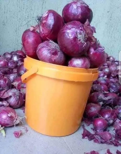 Fresh Onions – Clean,Dry, Quality & Ready to Use